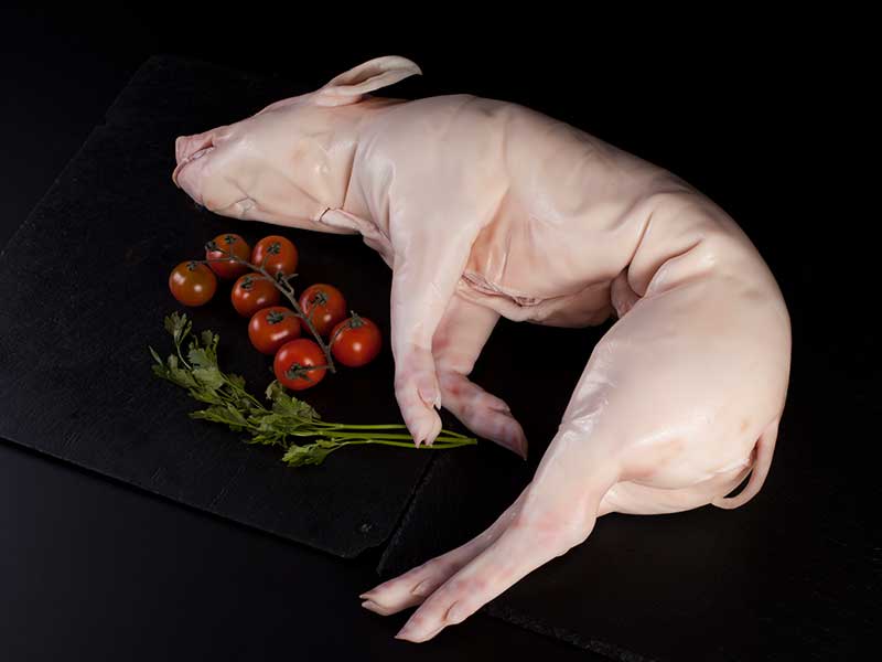Cochinillo de Segovia