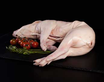 Cochinillo de Segovia