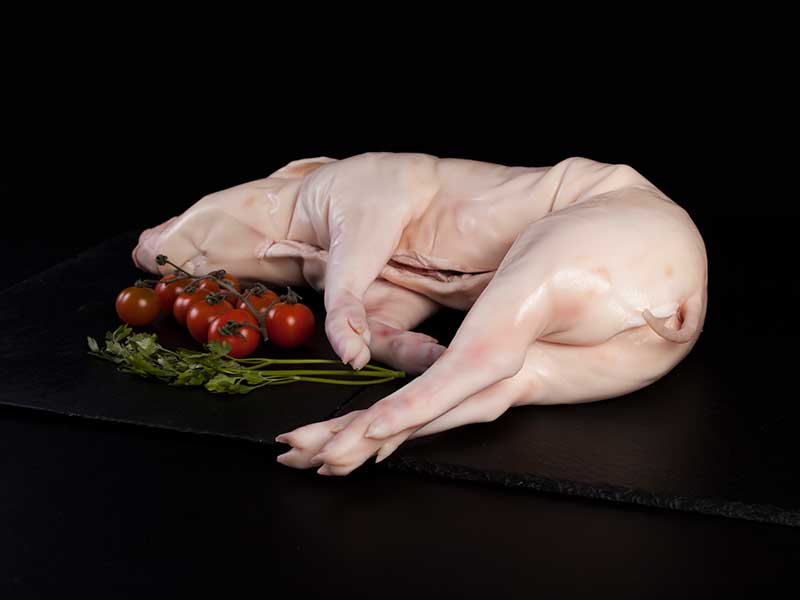 Cochinillo de Segovia