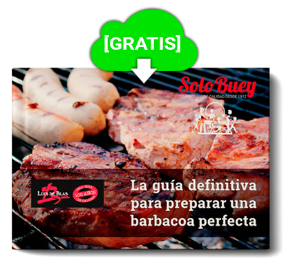 Guía Barbacoa perfecta 2018