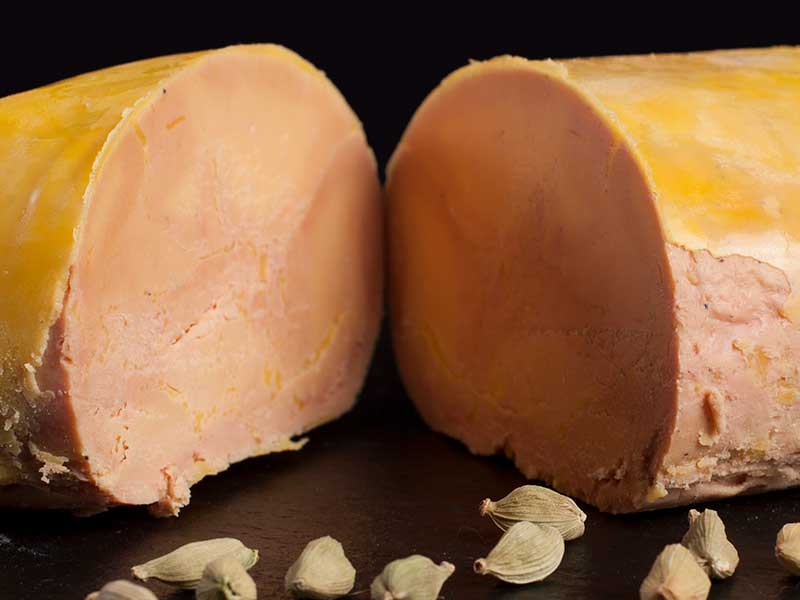 Micuit de Pato