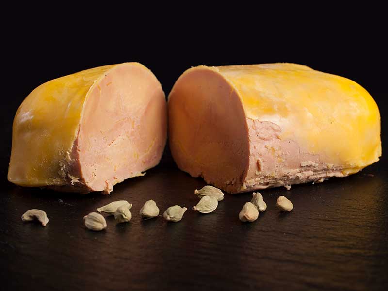 Micuit de Pato