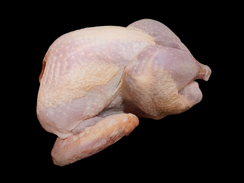 Pavo de navidad