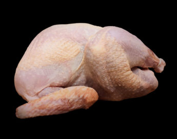 Pavo de granja para relleno o asado