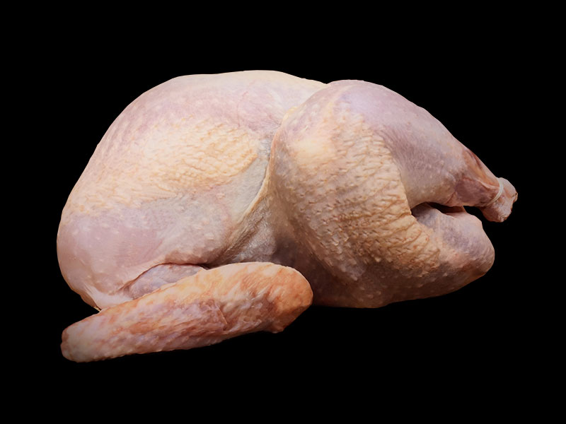 Pavo de granja para relleno o asado
