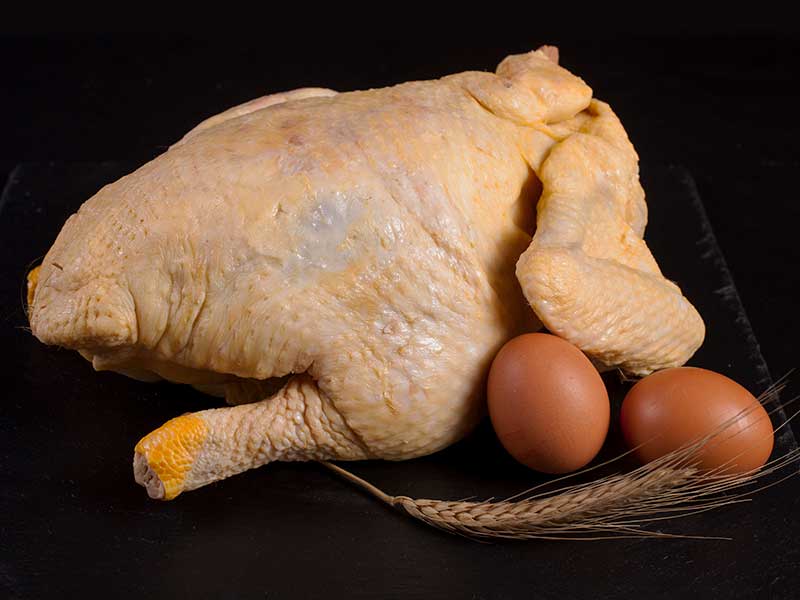 Pollo de Campo entero