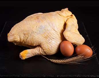 Pollo de Corral
