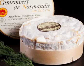 Queso Camembert de leche cruda D.O.