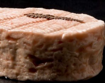 Queso Petit Gres D’Alsace