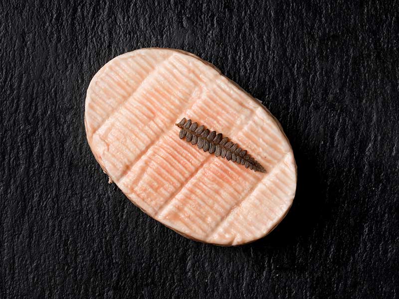 Queso Petit Gres de Alsacia