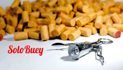 Amantes del vino, estrenamos sección de maridaje