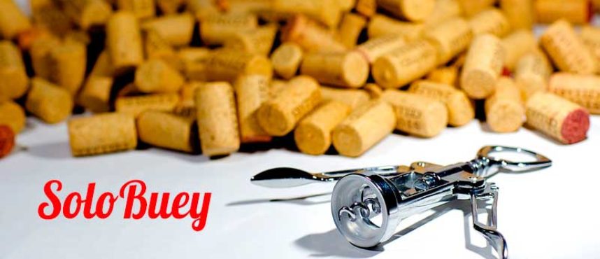 Amantes del vino, estrenamos sección de maridaje